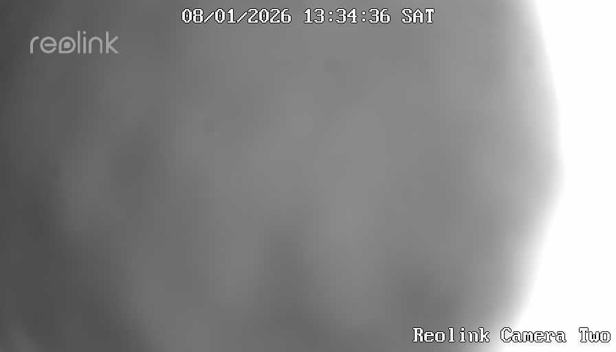Reolink Camera Two_01_Reolink Home Hub One_20260801133436.jpg